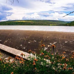 Meet your Posher, Fátima